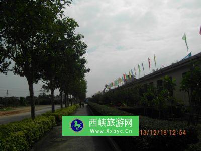 湛江市少林学校