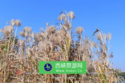 望城滨水湿地公园