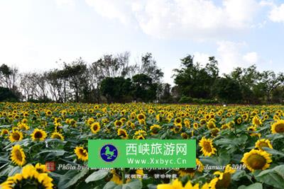 海鸿国际旅游文化风情街