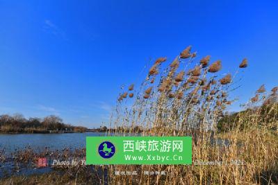 滇池泛亚国际城市湿地公园