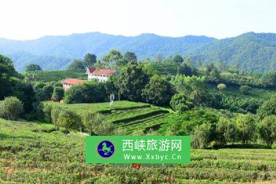 祁门茶山公园