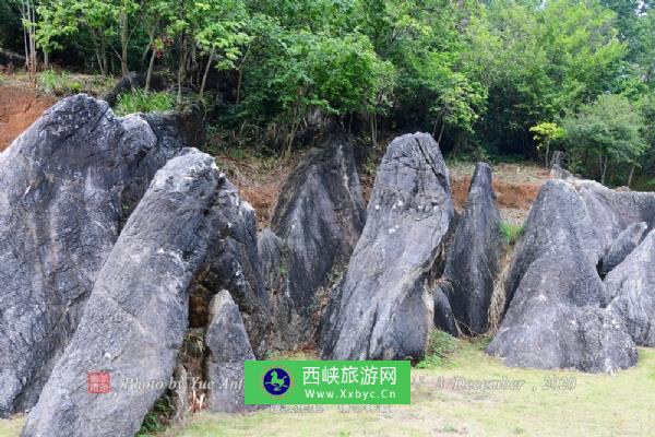 大云雾山旅游区