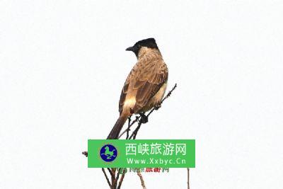 克尔碱旅游区