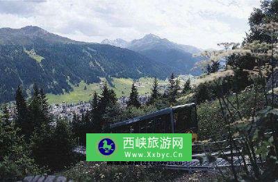 莎茨阿尔卑高山植物园