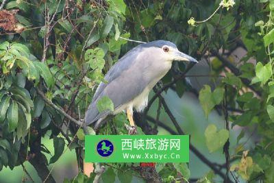 拉哈山—呼兰河生态旅游区