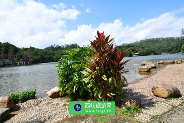 仙湖植物园