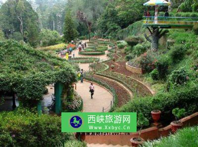 印度乌蒂植物园