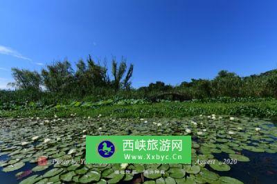 龙泽湖水利风景区