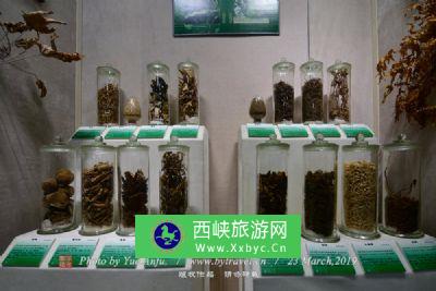 辽宁中医药大学博物馆