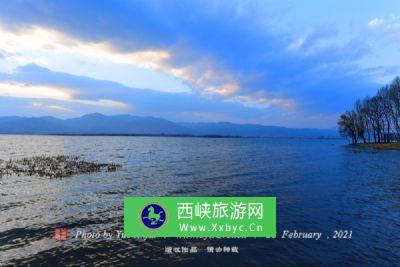 金湖柳树湾湿地公园