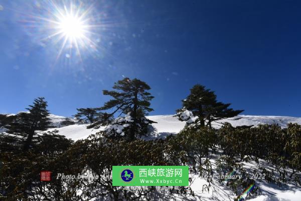 昆明轿子山自然保护区