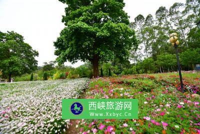 马来西亚大学植物园