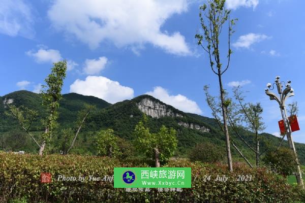 百里杜鹃风景区