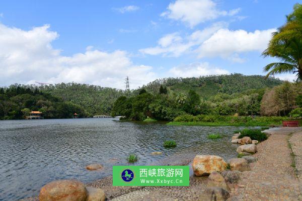 仙湖植物园