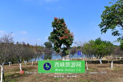 永定陡门