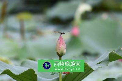 樵领前风景区