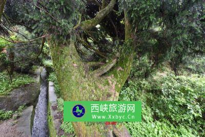 天水五龙山风景区