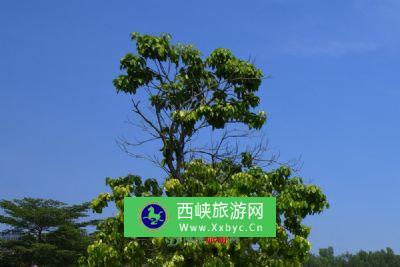 水泉沟“万人坑”遗址