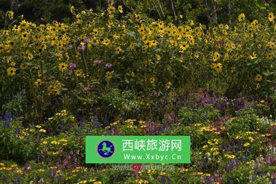 普照大禅师石塔