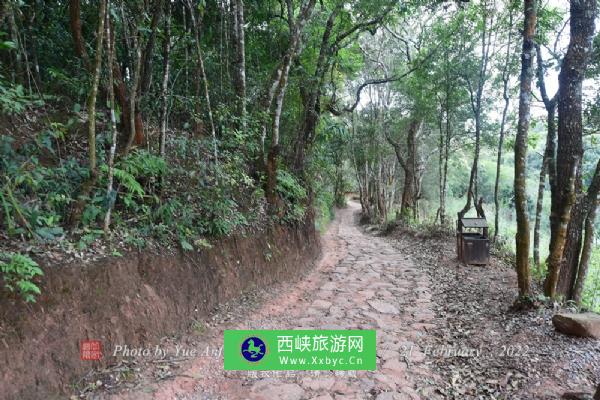 普洱茶马古道风景区