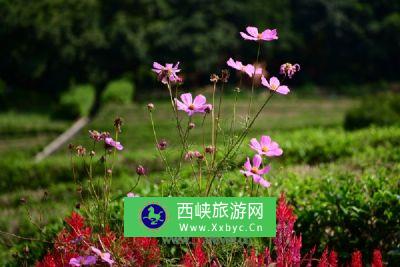 麻扎胡加旅游景点