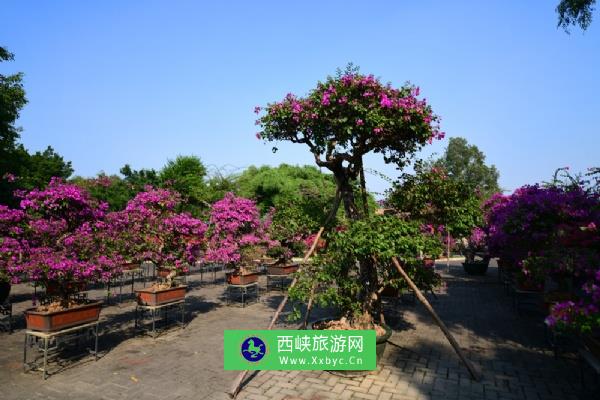 白水带风景名胜区