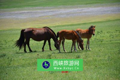 瓦子沟农家风情旅游区