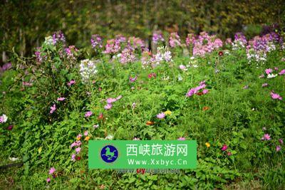 摩哂陀王子寺