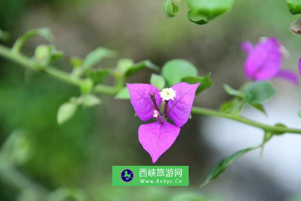 白水带风景名胜区