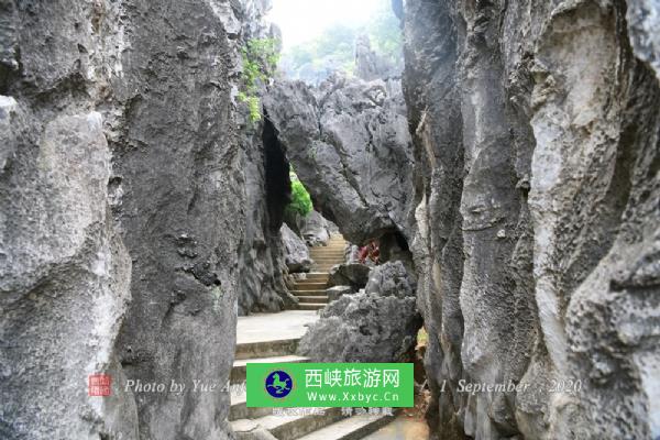 春湾景区