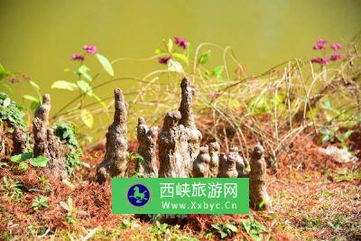 中国科学院广西植物研究所