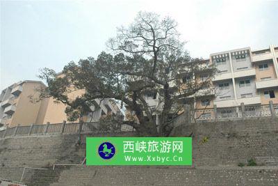 沙坪坝战斗活捉宋希濂旧址——古今寺