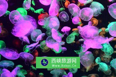 广东海洋大学水生生物博物馆