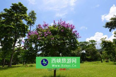 云龙洞风景区