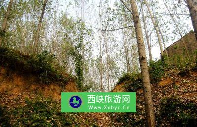 凤凰岗龙山文化遗址