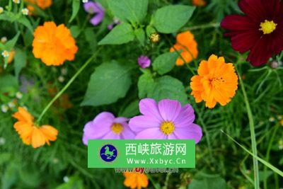 新疆师范大学生物标本馆