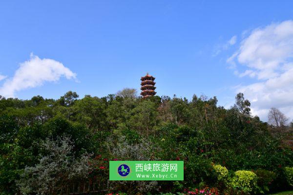 仙湖植物园