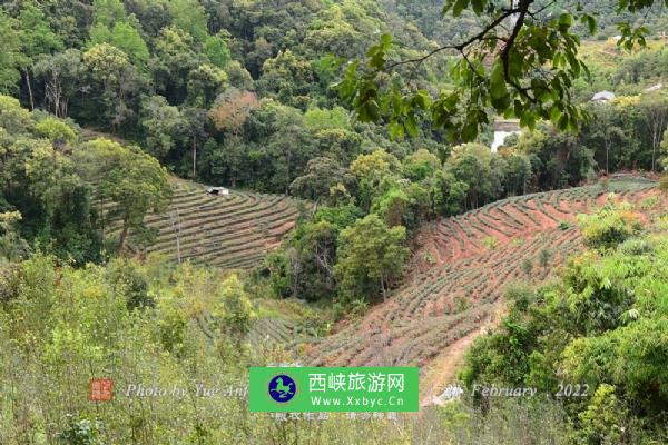 普洱茶马古道风景区