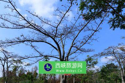 新昌大悲院