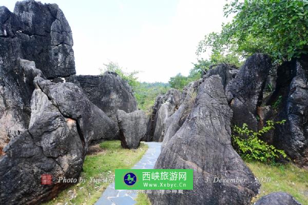 大云雾山旅游区