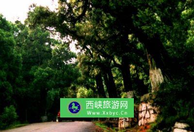 翠云廊公路