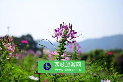 阿什贡峡的风蚀山貌