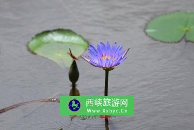 陈村清真寺