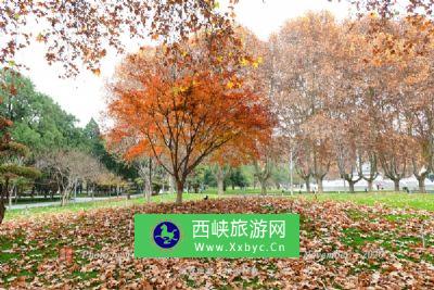 福建花千谷庄园景区