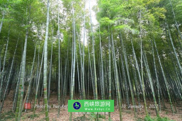 采石矶文化生态旅游区