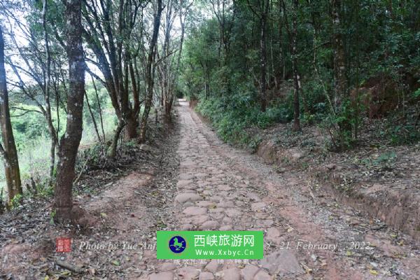 普洱茶马古道风景区