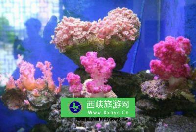 北海水族馆