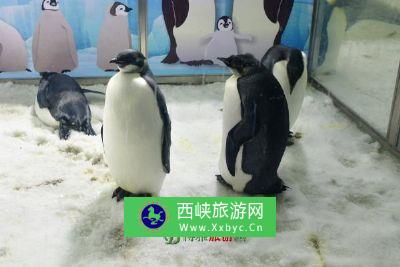 北海海洋水族馆