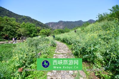 高家湾八路军医院旧址