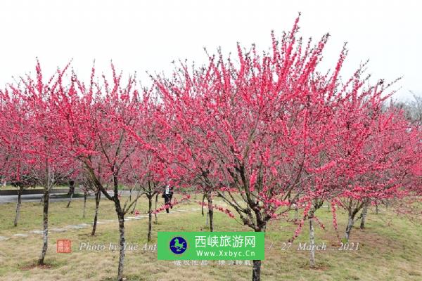 独秀园景区